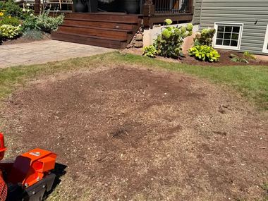 Front yard in Moncton ground flat and raked clean after stump removal